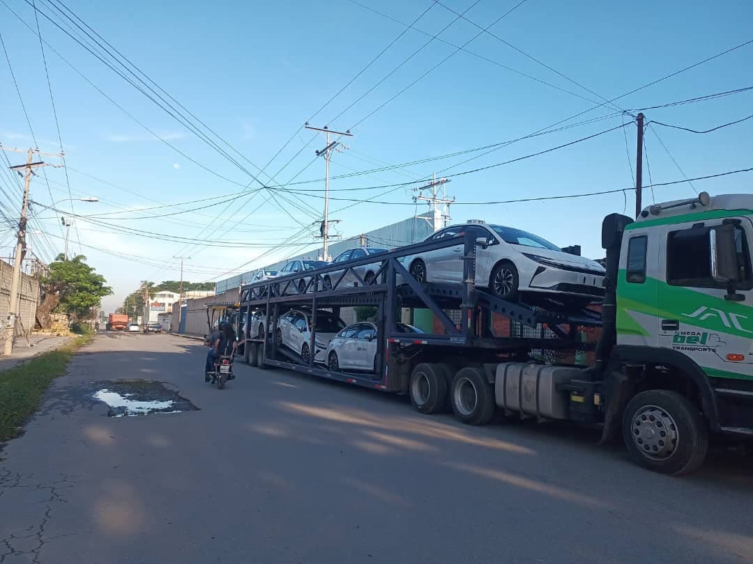Cigüeña de Mega Bel Transporte trasladando vehículos